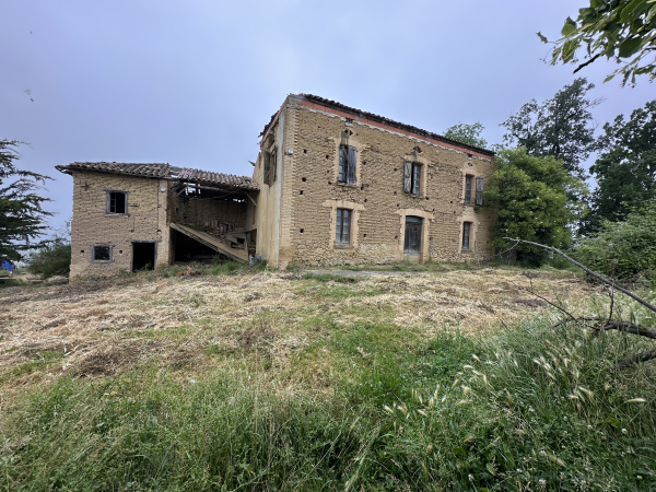 Offres de vente Ferme L'Isle-en-Dodon 31230