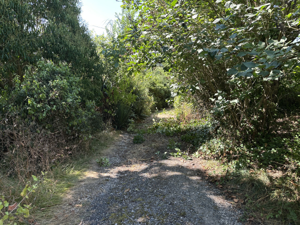 Offres de vente Maison L'Isle-en-Dodon 31230