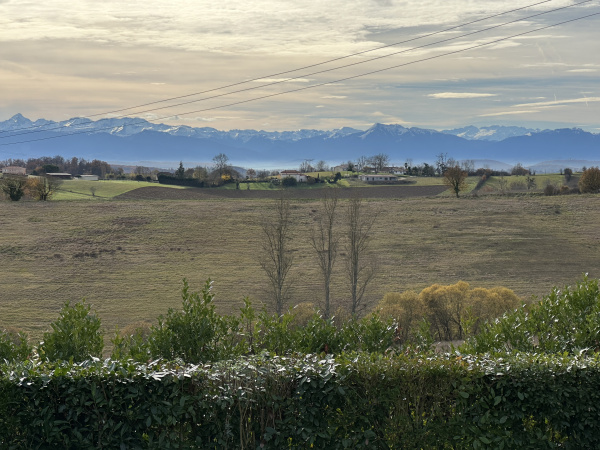 Offres de vente Ferme L'Isle-en-Dodon 31230